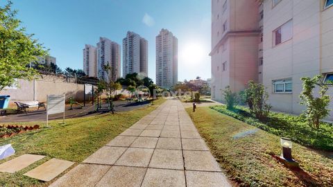 Image 14 - 929877